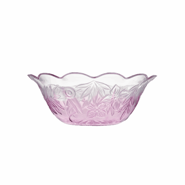 Tô Ngọc Bảo - Ảnh 8