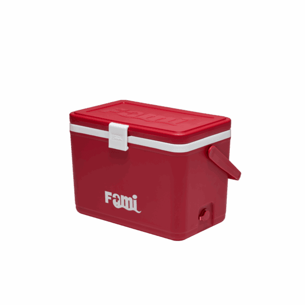 Thùng giữ nhiệt FAMI BASIC 26L - Ảnh 6