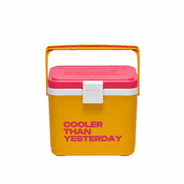 Thùng giữ nhiệt FAMI COOLER 12L - Ảnh 3