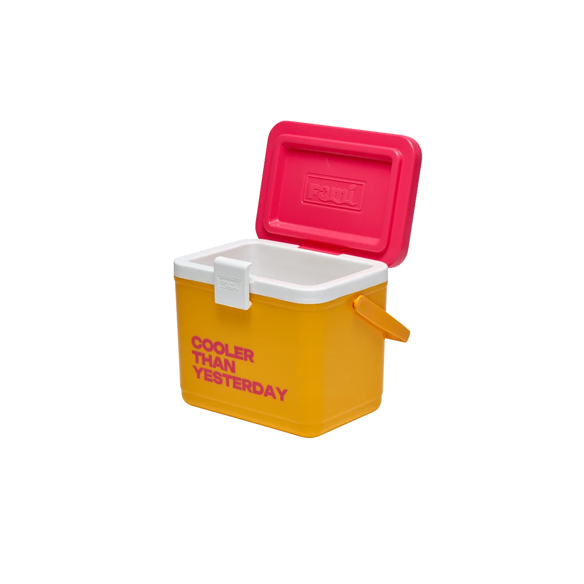 Thùng giữ nhiệt FAMI COOLER 12L - Ảnh 1