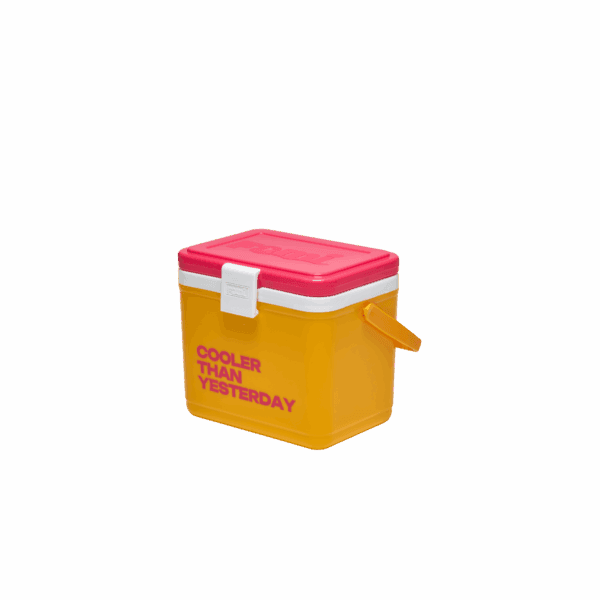 Thùng giữ nhiệt FAMI COOLER 12L - Ảnh 2