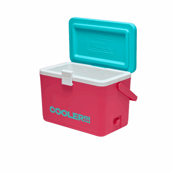 Thùng giữ nhiệt FAMI COOLER 26L - Ảnh 24