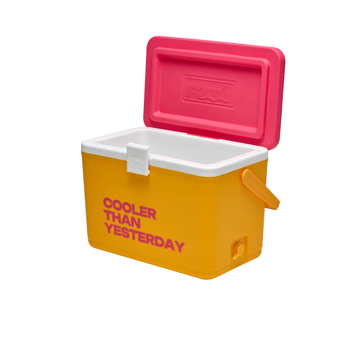 Thùng giữ nhiệt FAMI COOLER 26L - Ảnh 22