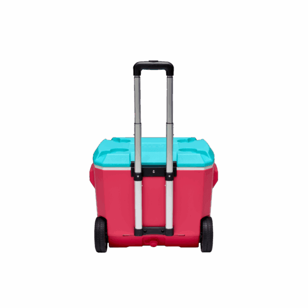 Thùng giữ nhiệt FAMI COOLER 60L - Ảnh 3