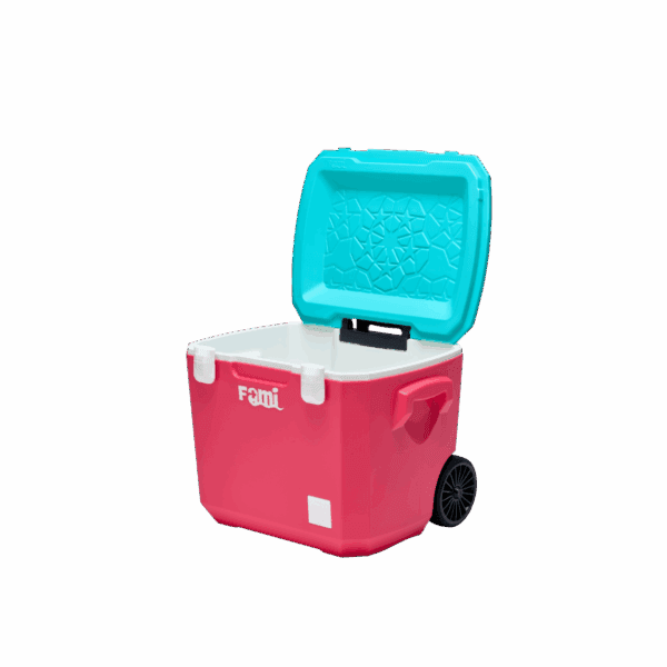 Thùng giữ nhiệt FAMI COOLER 60L - Ảnh 2