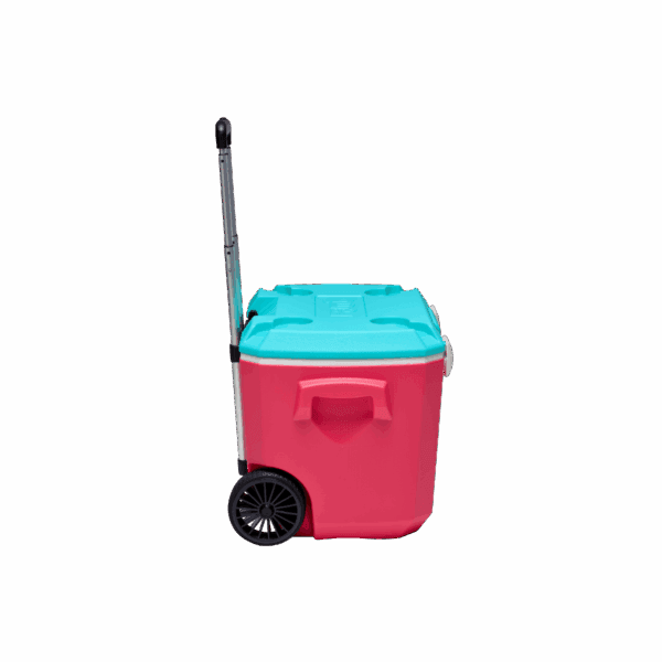 Thùng giữ nhiệt FAMI COOLER 60L - Ảnh 4