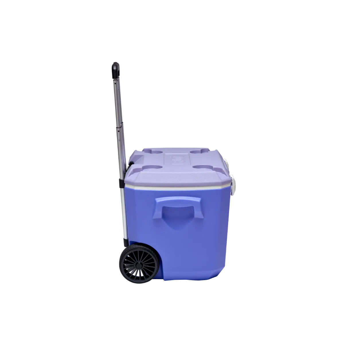 Thùng giữ nhiệt FAMI COOLER 60L - Ảnh 9