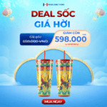 COMBO 2 Ly nhựa FAMI LỘC MÃ VẠN LÝ 591ml - Ảnh 3