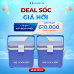 COMBO 2 Thùng giữ nhiệt FAMI COOLER 12L / 26L - Ảnh 8